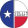 DivorceCollinCounty.com